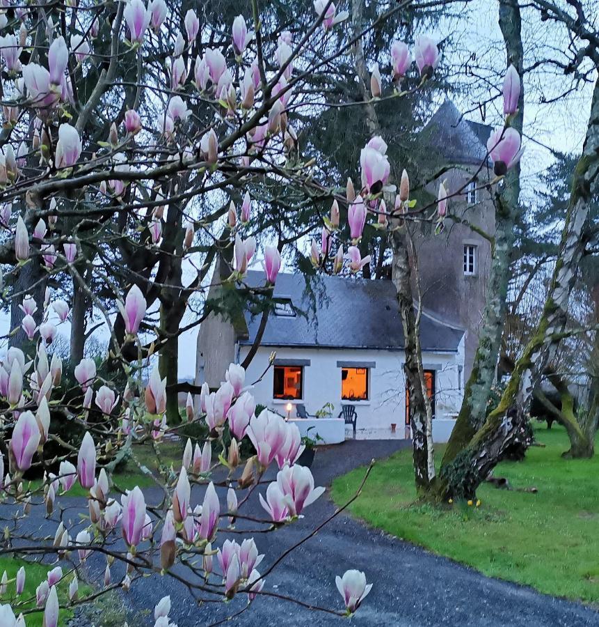 Le moulin de La Retardière Orvault Extérieur photo