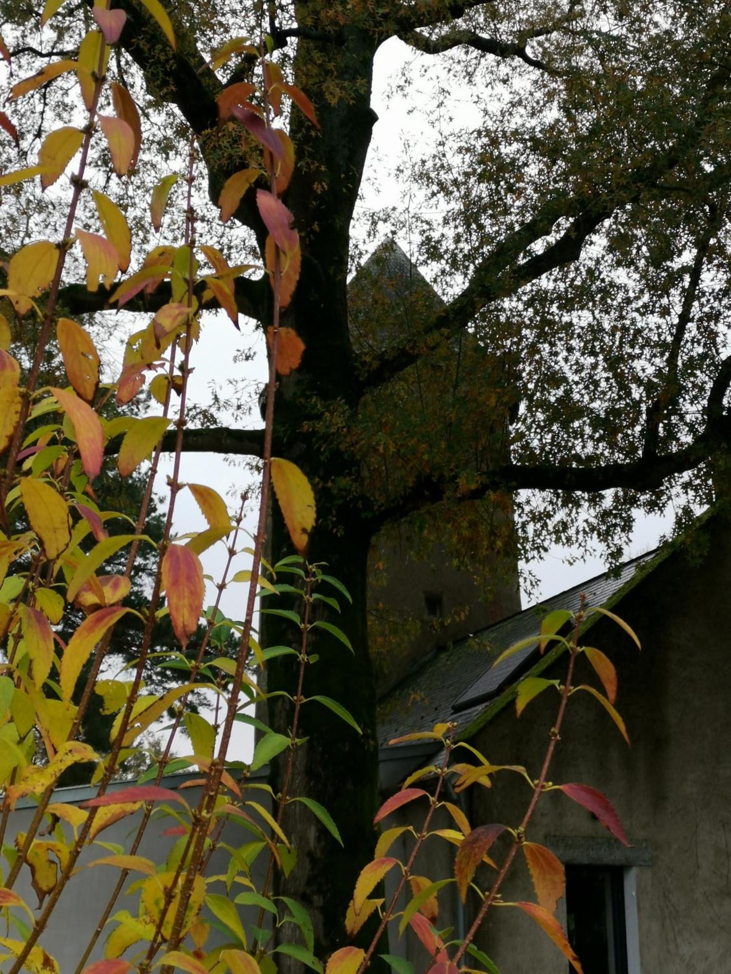 Le moulin de La Retardière Orvault Extérieur photo